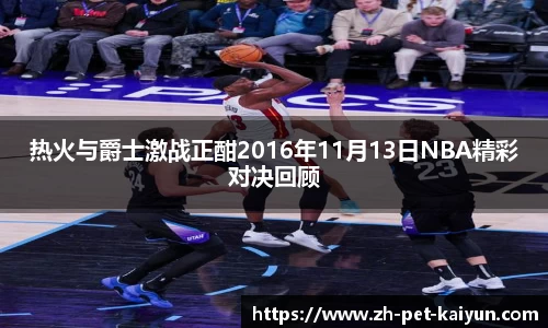 热火与爵士激战正酣2016年11月13日NBA精彩对决回顾