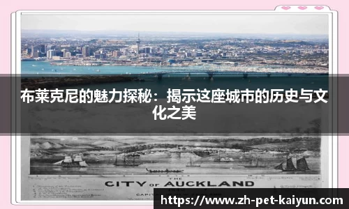 布莱克尼的魅力探秘：揭示这座城市的历史与文化之美