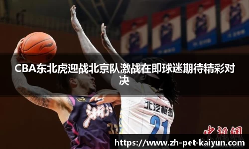 CBA东北虎迎战北京队激战在即球迷期待精彩对决
