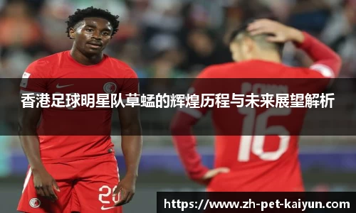 香港足球明星队草蜢的辉煌历程与未来展望解析
