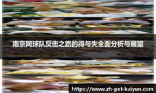 南京网球队反击之路的得与失全面分析与展望