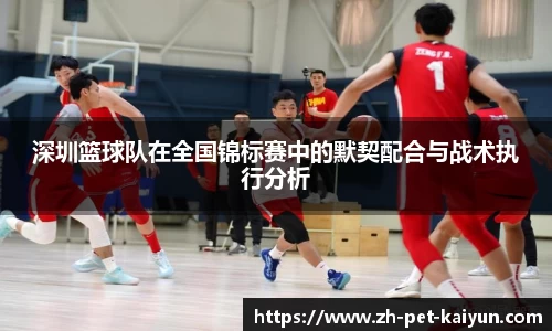 深圳篮球队在全国锦标赛中的默契配合与战术执行分析